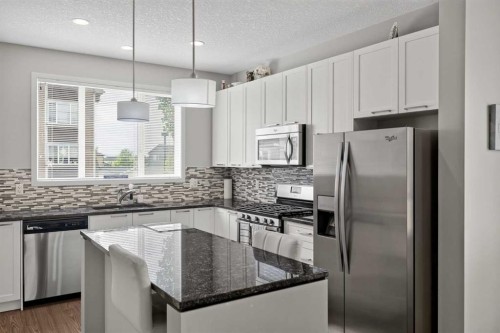 202 Copperpond Row Se, Calgary, AB - Indoor Photo Showing Kitchen With Upgraded Kitchen
