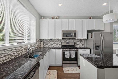 202 Copperpond Row Se, Calgary, AB - Indoor Photo Showing Kitchen With Double Sink With Upgraded Kitchen