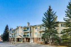 306-2144 Paliswood Road SW Calgary, AB T2V 5K2