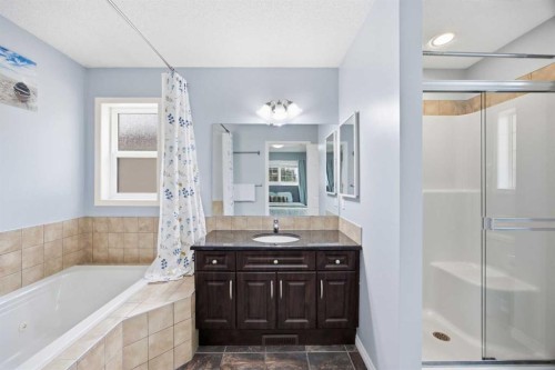 336 Silverado Drive Sw, Calgary, AB - Indoor Photo Showing Bathroom
