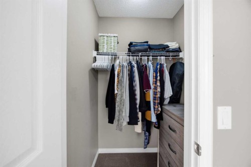 336 Silverado Drive Sw, Calgary, AB - Indoor With Storage