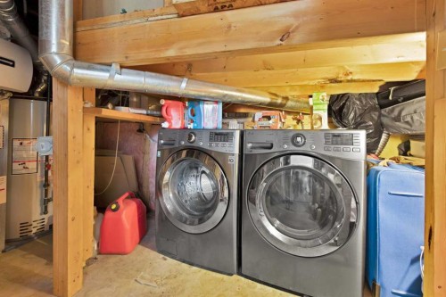 155 Taralea Gardens Ne, Calgary, AB - Indoor Photo Showing Laundry Room