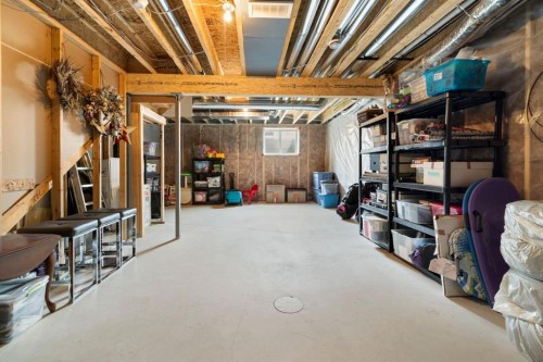 719 Mahogany Boulevard Se, Calgary, AB - Indoor Photo Showing Basement
