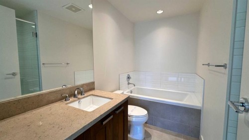 1615-222 Riverfront Avenue Sw, Calgary, AB - Indoor Photo Showing Bathroom