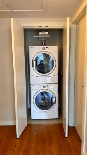1615-222 Riverfront Avenue Sw, Calgary, AB - Indoor Photo Showing Laundry Room
