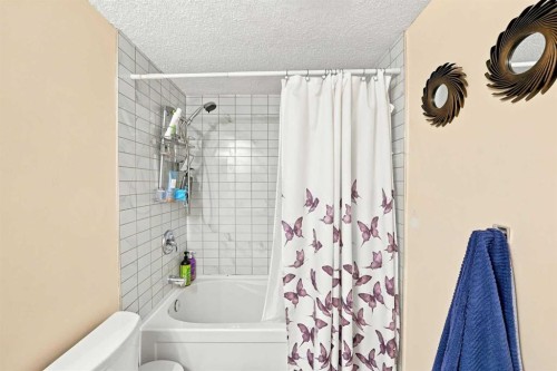 225 Harvest Glen Place Ne, Calgary, AB - Indoor Photo Showing Bathroom
