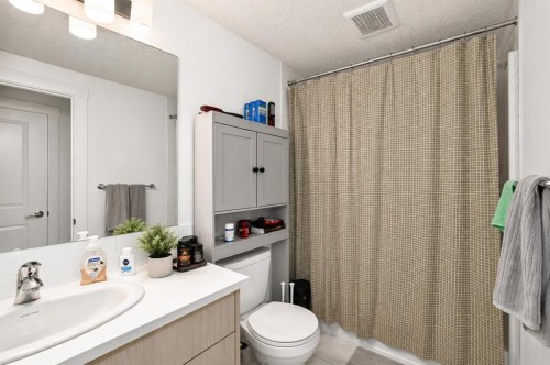 125 Herron Mews Ne, Calgary, AB - Indoor Photo Showing Bathroom
