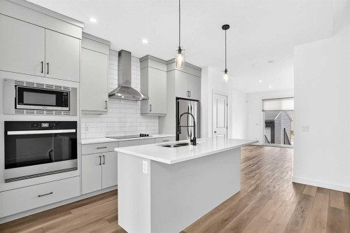 125 Herron Mews Ne, Calgary, AB - Indoor Photo Showing Kitchen With Stainless Steel Kitchen With Double Sink With Upgraded Kitchen