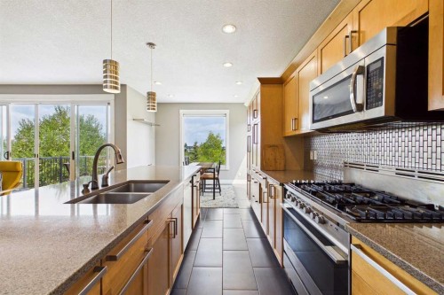 169 Brightonwoods Gardens Se, Calgary, AB - Indoor Photo Showing Kitchen With Double Sink With Upgraded Kitchen
