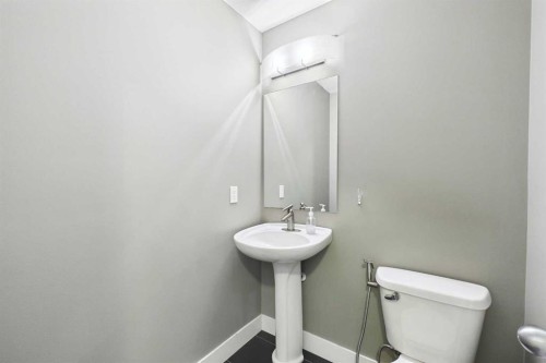 169 Brightonwoods Gardens Se, Calgary, AB - Indoor Photo Showing Bathroom