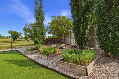 169 Brightonwoods Gardens Se, Calgary, AB - Outdoor