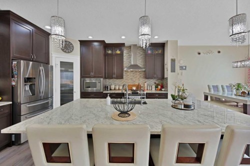237 Cornerstone Manor Ne, Calgary, AB - Indoor Photo Showing Kitchen With Upgraded Kitchen