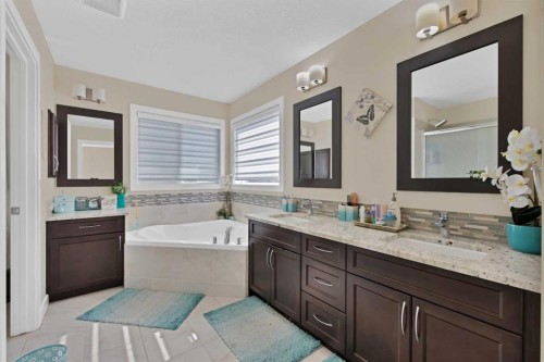 237 Cornerstone Manor Ne, Calgary, AB - Indoor Photo Showing Bathroom