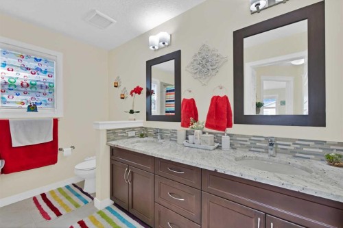237 Cornerstone Manor Ne, Calgary, AB - Indoor Photo Showing Bathroom