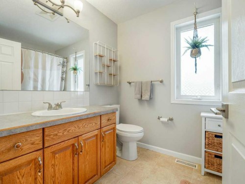 338 Deer Run Place West, Rural Lethbridge County, AB - Indoor Photo Showing Bathroom