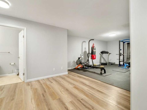 338 Deer Run Place West, Rural Lethbridge County, AB - Indoor Photo Showing Gym Room