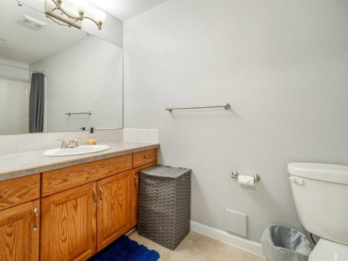 338 Deer Run Place West, Rural Lethbridge County, AB - Indoor Photo Showing Bathroom