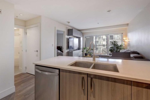 311-510 Edmonton Trail Ne, Calgary, AB - Indoor Photo Showing Kitchen With Double Sink
