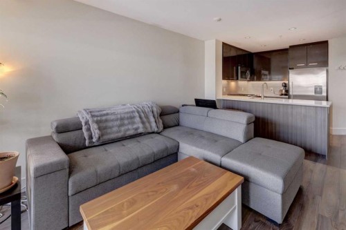 311-510 Edmonton Trail Ne, Calgary, AB - Indoor Photo Showing Living Room