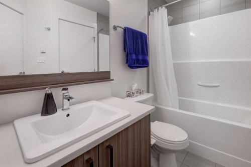 311-510 Edmonton Trail Ne, Calgary, AB - Indoor Photo Showing Bathroom
