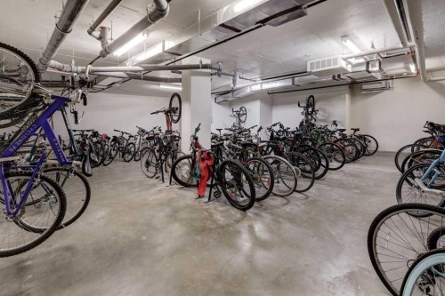 311-510 Edmonton Trail Ne, Calgary, AB - Indoor Photo Showing Garage
