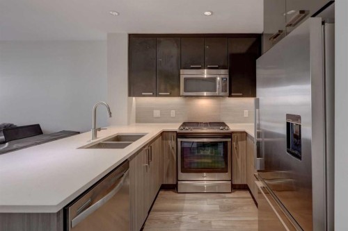 311-510 Edmonton Trail Ne, Calgary, AB - Indoor Photo Showing Kitchen With Stainless Steel Kitchen With Double Sink With Upgraded Kitchen