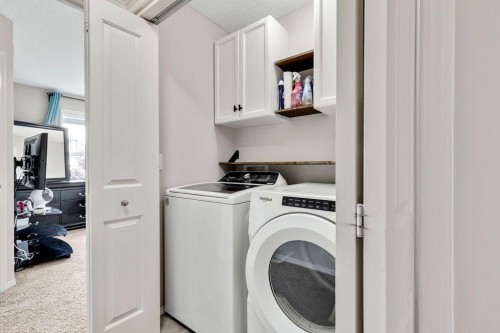 227 Cranford Way Se, Calgary, AB - Indoor Photo Showing Laundry Room