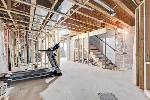 227 Cranford Way Se, Calgary, AB - Indoor Photo Showing Basement