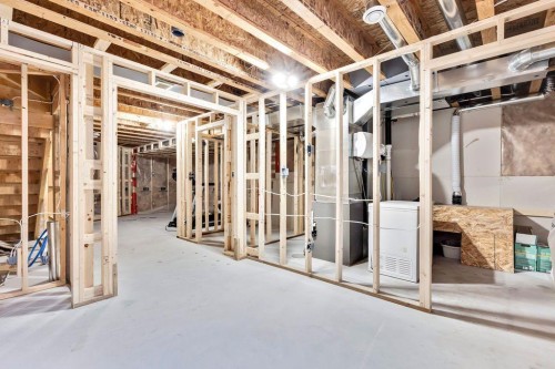 227 Cranford Way Se, Calgary, AB - Indoor Photo Showing Basement