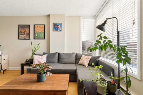 701-1123 13 Avenue Sw, Calgary, AB - Indoor Photo Showing Living Room