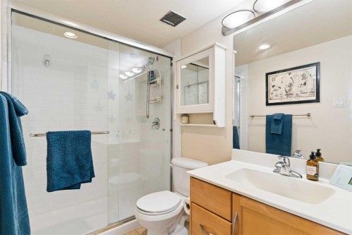 701-1123 13 Avenue Sw, Calgary, AB - Indoor Photo Showing Bathroom