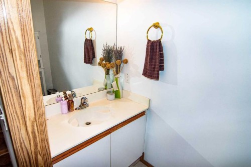 3850 Catalina Boulevard Ne, Calgary, AB - Indoor Photo Showing Bathroom