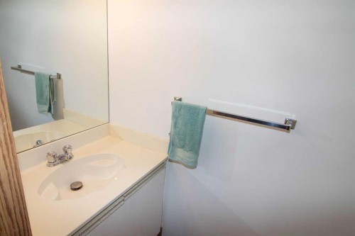 3850 Catalina Boulevard Ne, Calgary, AB - Indoor Photo Showing Bathroom