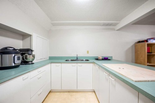 20 Bedwood Hill Ne, Calgary, AB - Indoor Photo Showing Kitchen With Double Sink