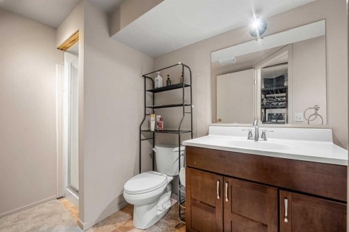 20 Bedwood Hill Ne, Calgary, AB - Indoor Photo Showing Bathroom