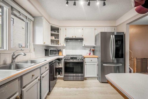 20 Bedwood Hill Ne, Calgary, AB - Indoor Photo Showing Kitchen With Double Sink