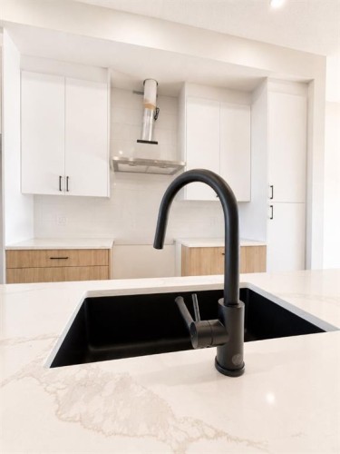 1005-200 Belvedere Boulevard Se, Calgary, AB - Indoor Photo Showing Kitchen With Double Sink