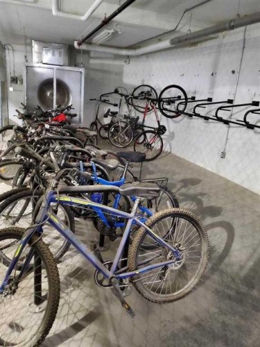 402-30 Shawnee Common Sw, Calgary, AB - Indoor Photo Showing Garage