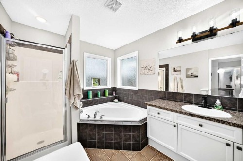 265 Bridleridge View Sw, Calgary, AB - Indoor Photo Showing Bathroom