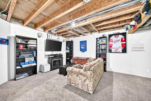 265 Bridleridge View Sw, Calgary, AB - Indoor Photo Showing Basement