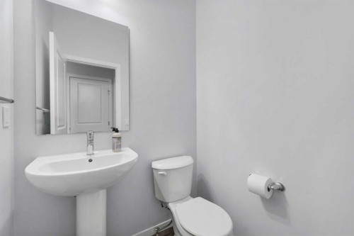 532 Clearwater Heath, Chestermere, AB - Indoor Photo Showing Bathroom