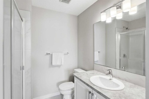 308-32 Red Embers Parade Ne, Calgary, AB - Indoor Photo Showing Bathroom