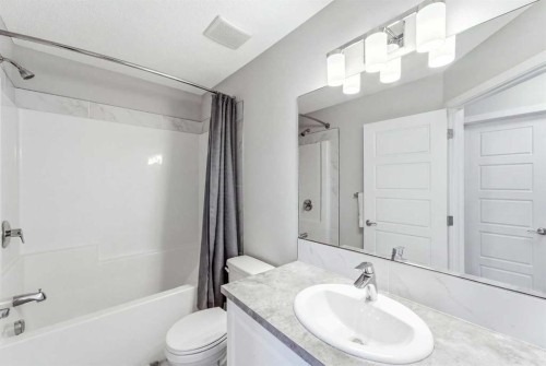 308-32 Red Embers Parade Ne, Calgary, AB - Indoor Photo Showing Bathroom