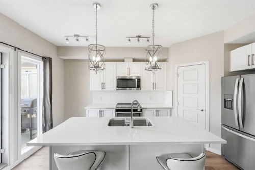 308-32 Red Embers Parade Ne, Calgary, AB - Indoor Photo Showing Kitchen With Stainless Steel Kitchen With Double Sink With Upgraded Kitchen