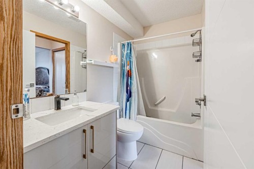 65 Martinvalley Road Ne, Calgary, AB - Indoor Photo Showing Bathroom