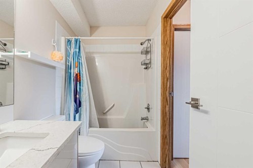 65 Martinvalley Road Ne, Calgary, AB - Indoor Photo Showing Bathroom