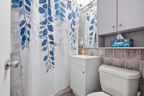 1037 Regal Crescent Ne, Calgary, AB - Indoor Photo Showing Bathroom