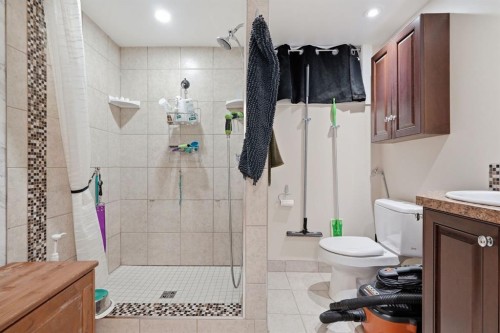 1037 Regal Crescent Ne, Calgary, AB - Indoor Photo Showing Bathroom