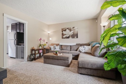 1037 Regal Crescent Ne, Calgary, AB - Indoor Photo Showing Living Room