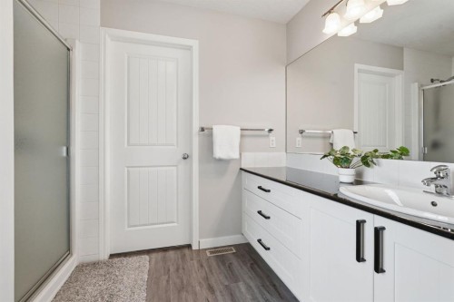 73 Morningside Circle, Airdrie, AB - Indoor Photo Showing Bathroom